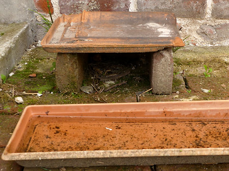 Abri pour amphibien à base de briques et d'une tuile