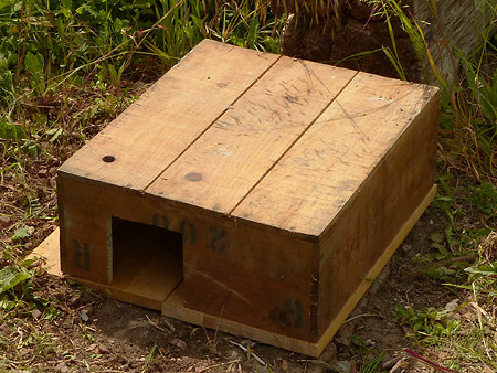 début de la construction de l'abri à hérisson à partir d'une caisse en bois