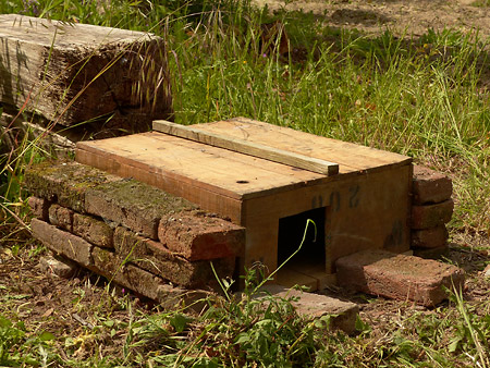 poursuite de la construction de l'abri à hérisson avec pose d'un tasseau et de briques sur les côtés