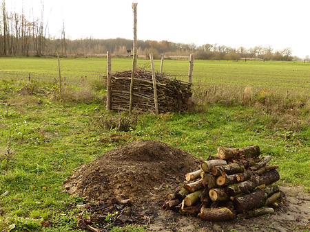 caveau à insectes et tas de bois