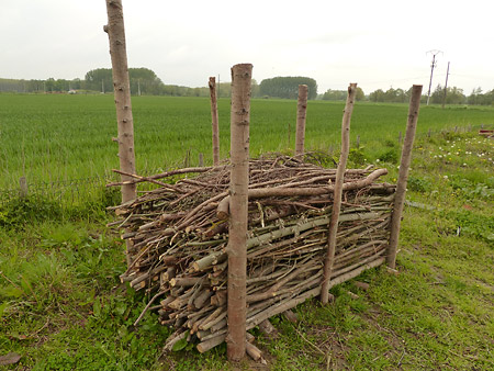 Un tas de branches ou de bûches pour la faune du jardin