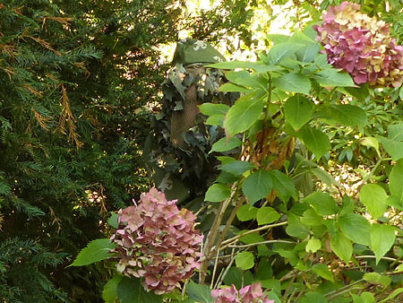 ghillie-6.jpg
